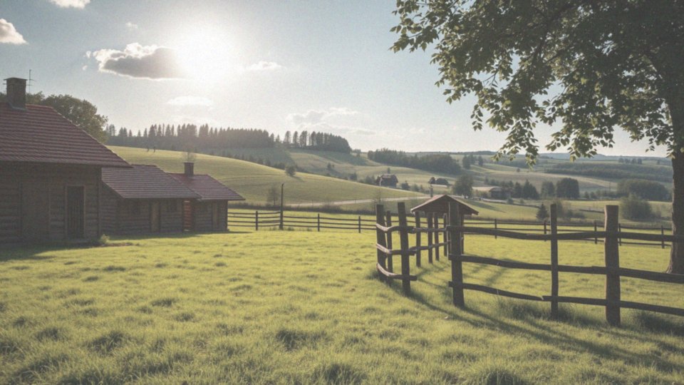 Jakie są linie zwycięzców w naszej hodowli?